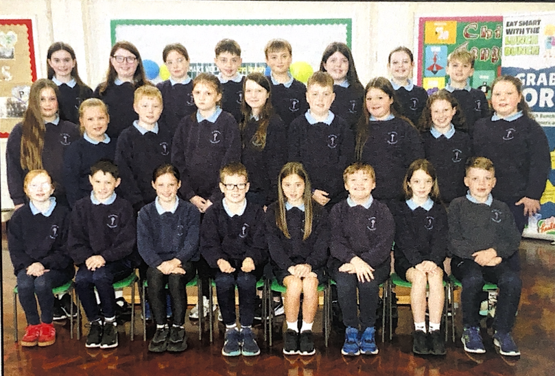 Primary 7