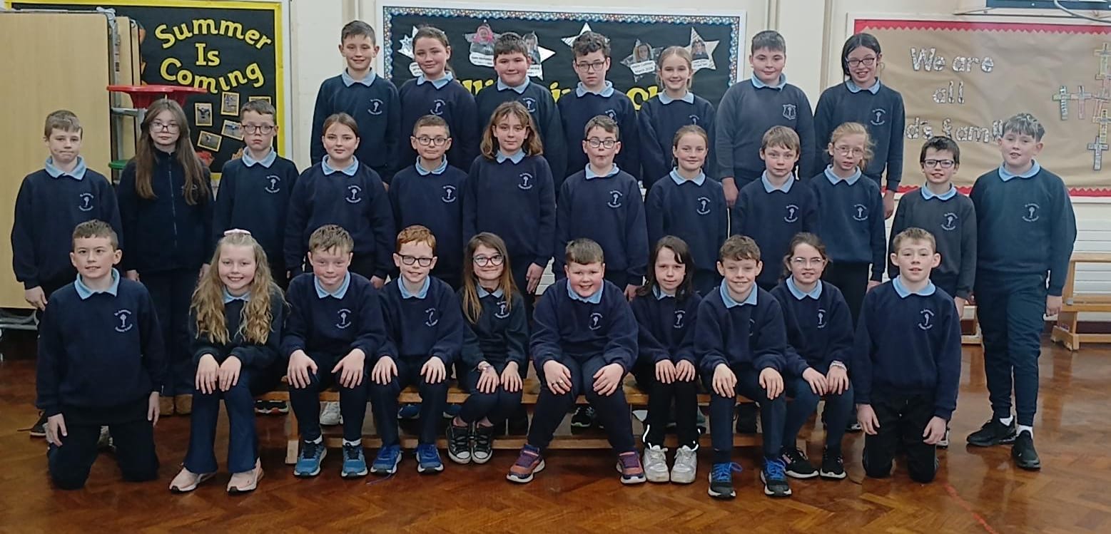 Primary 7